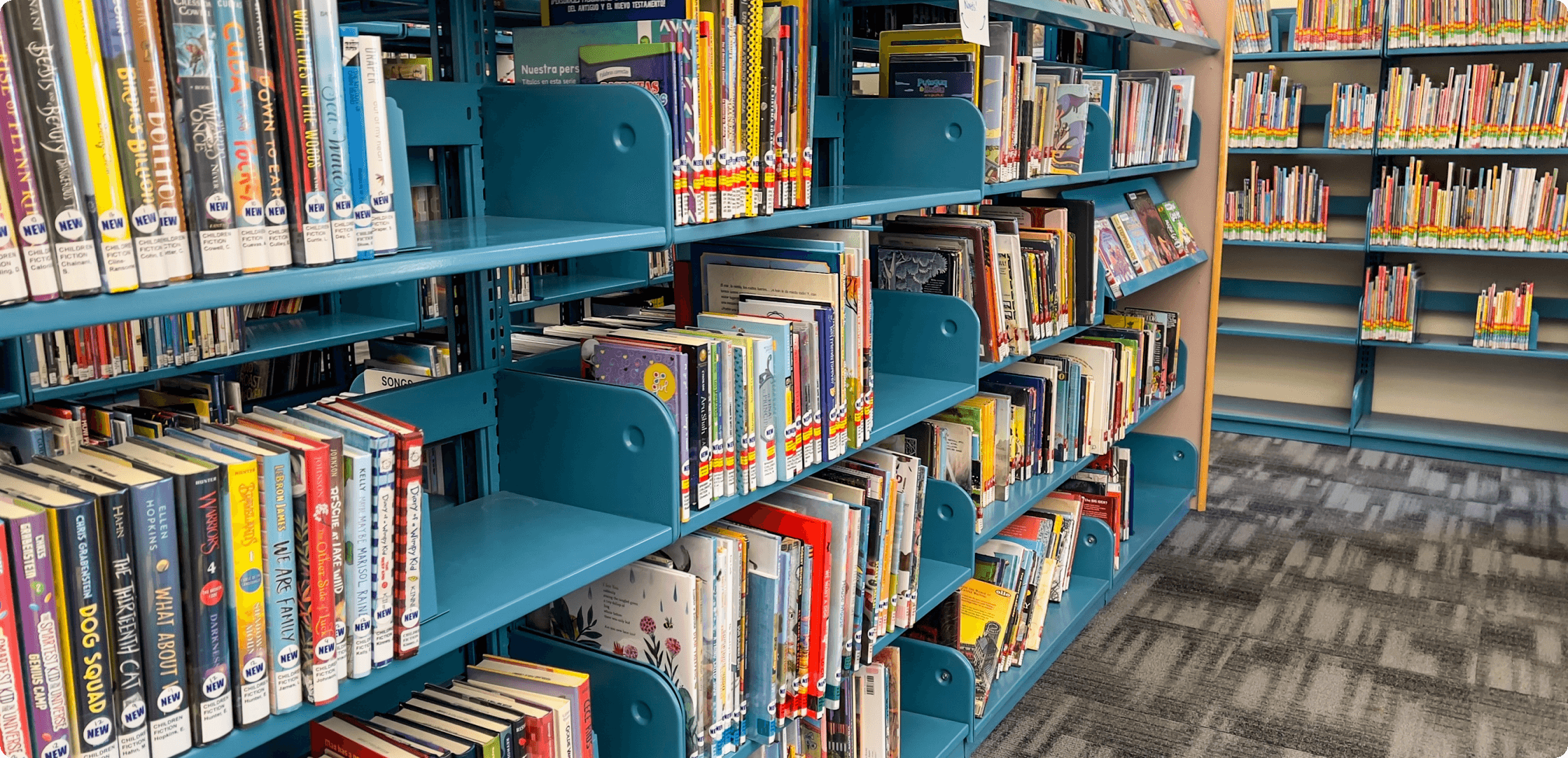 library shelves of children's books.